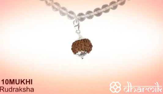 10 Mukhi Rudraksha