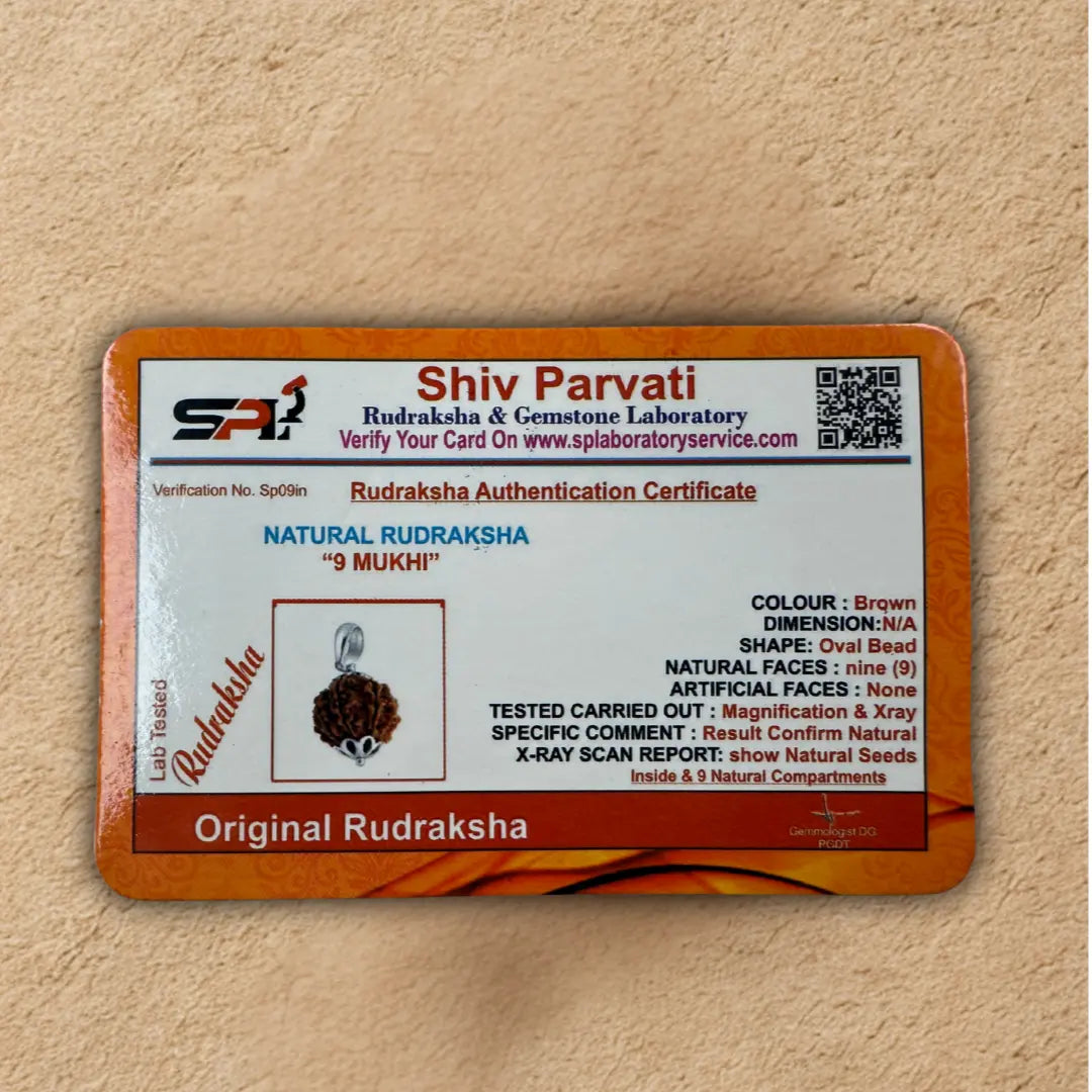 9 Mukhi Rudraksha for Strength, Courage & Protection – Certified Original Dharmik