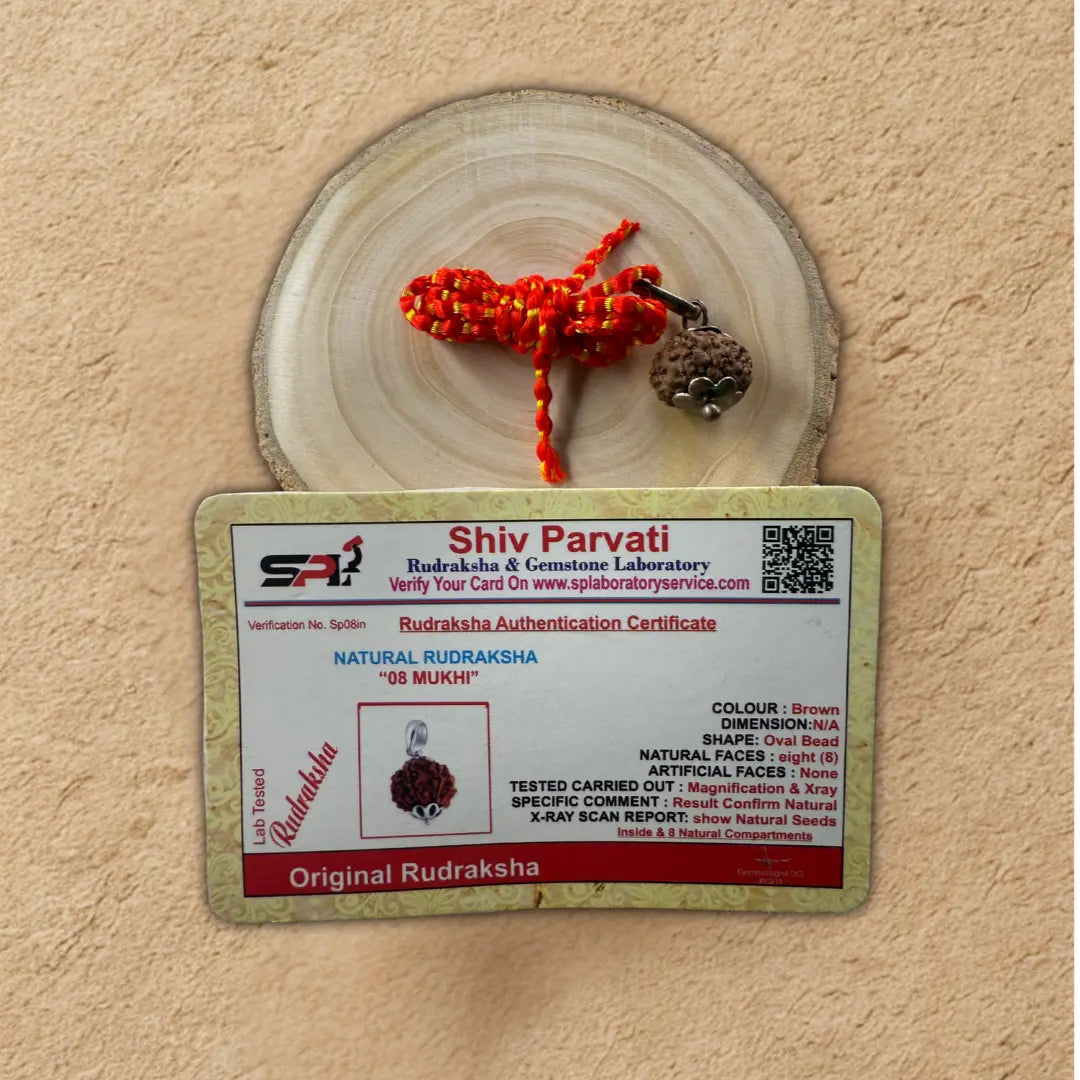 Rudraksha and certificate