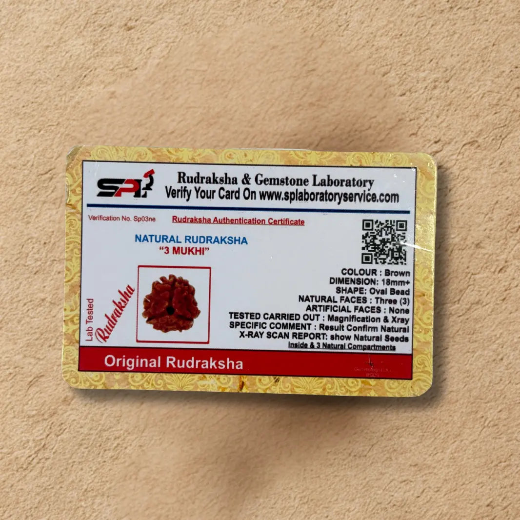Theen Mukhi Rudraksha - Original with Certificate - (Nepali/Indian) Dharmik