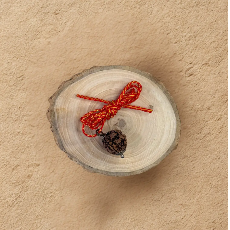 Panch Mukhi Rudraksh - Original with Certificate - (Nepali/Indian) Dharmik