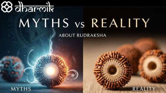 Rudraksha