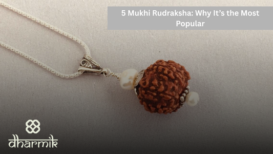 5 Mukhi Rudraksha: Why It’s the Most Popular