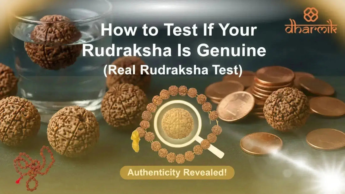 Collection of genuine Rudraksha beads with natural Mukhi lines used for authenticity testing.