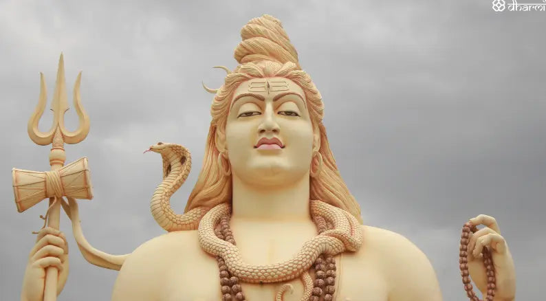 5 Mukhi Rudraksha: Why It’s the Most Popular - Dharmik