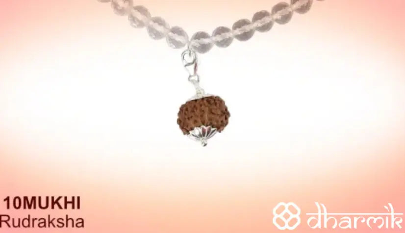10 Mukhi Rudraksha