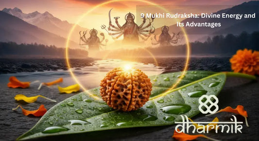 9 Mukhi Rudraksha