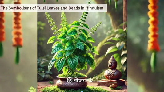 Tulsi Leaves