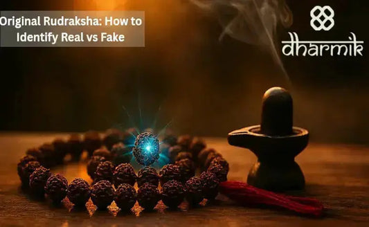 Divine rudraksha mala