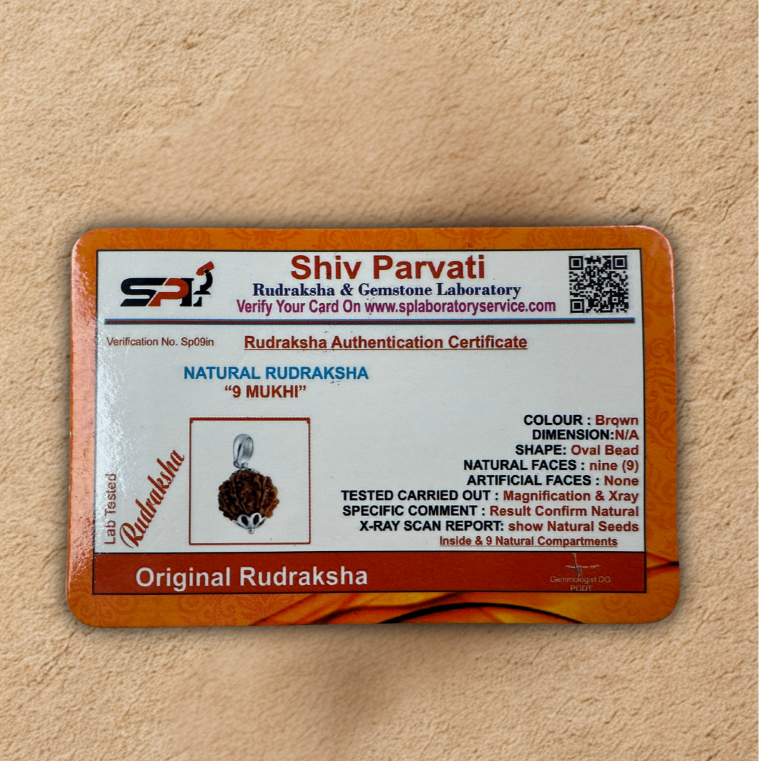 9 Mukhi Rudraksha for Strength, Courage & Protection – Certified Original Dharmik
