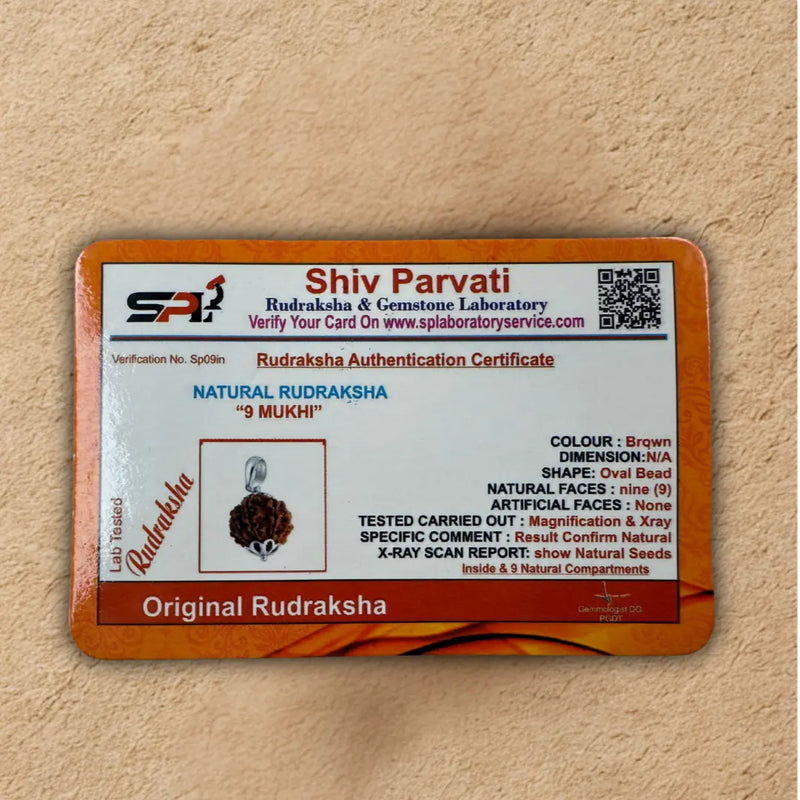 9 Mukhi Rudraksha for Strength, Courage & Protection – Certified Original Dharmik