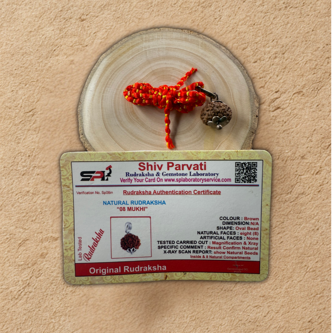Rudraksha and certificate
