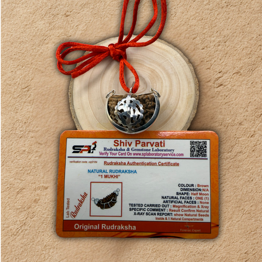Certificate and 1 mukhi Rudraksha Beads