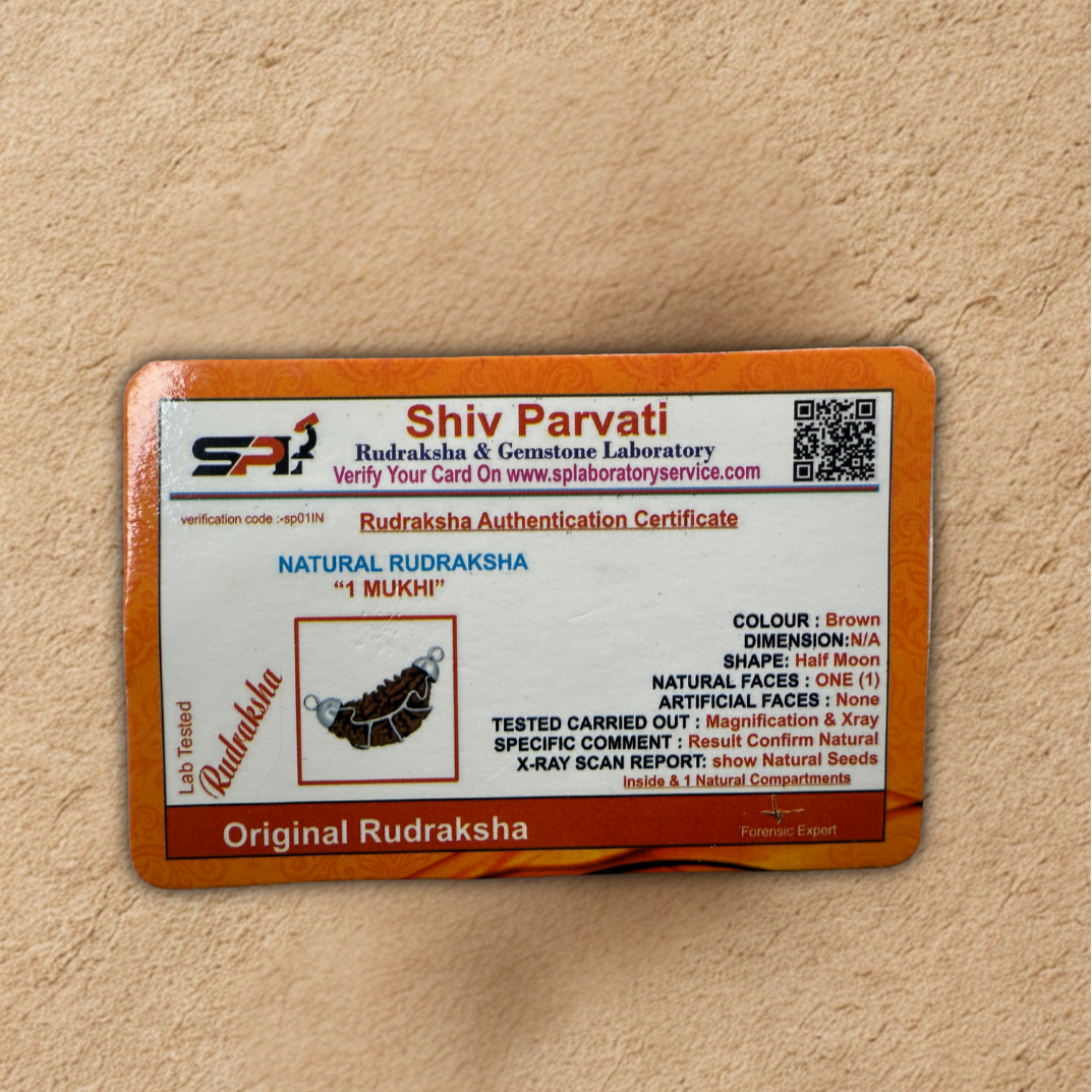 1 Mukhi Rudraksha Certificate