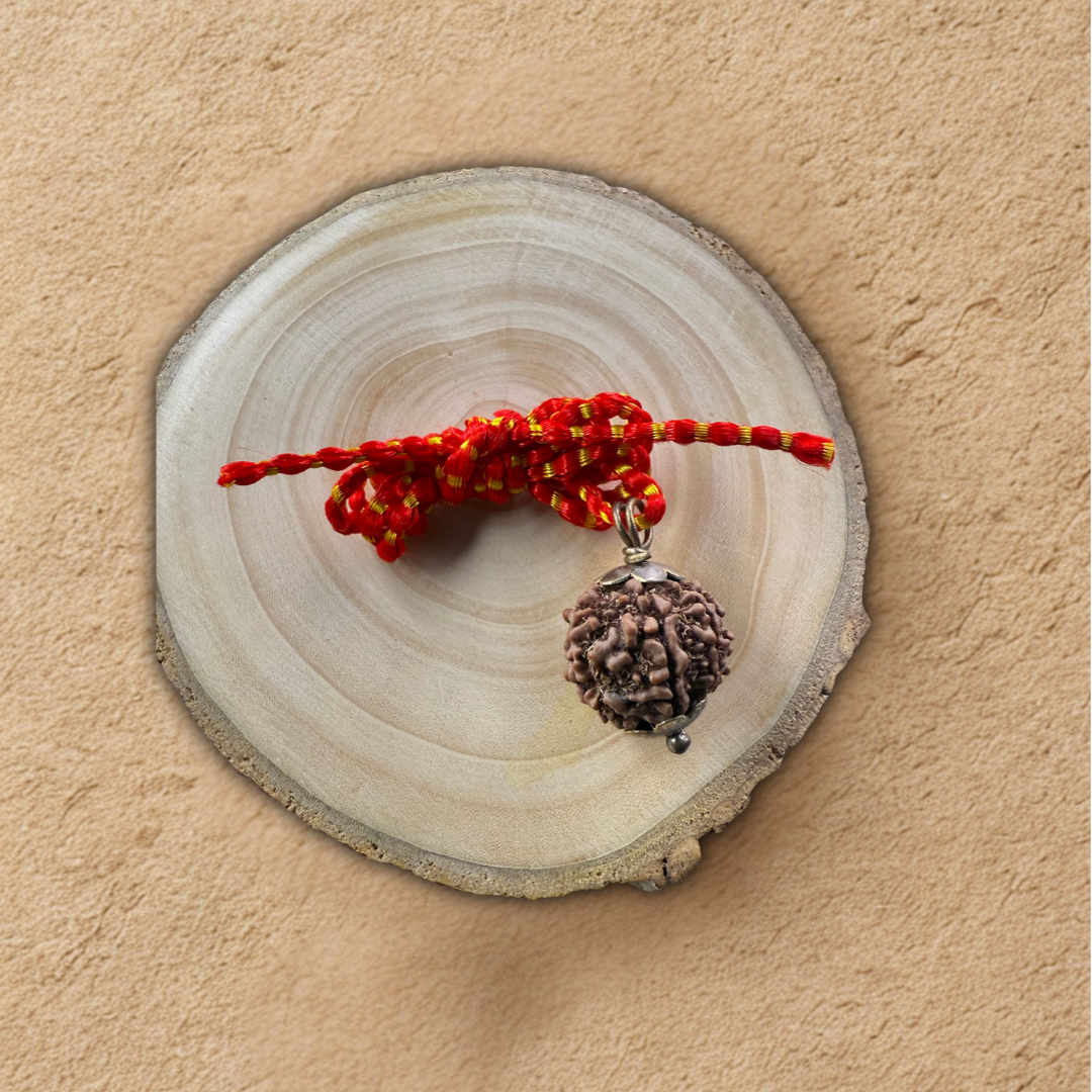 6 Mukhi rudraksha beads