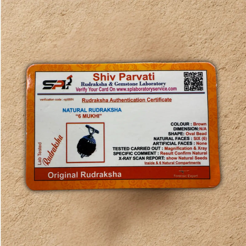 6 Mukhi Rudraksha Certificate