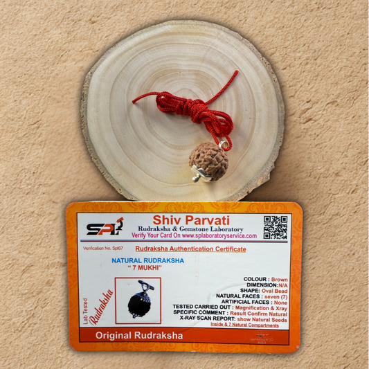 Shiv Parvati Rudraksha with certification card on a beige background