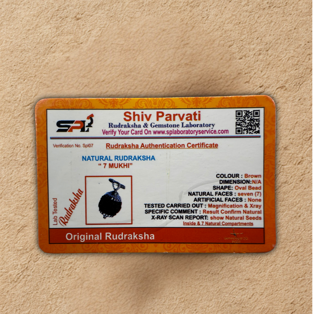 Certification label for Shiv Parvati Rudraksha on a beige background