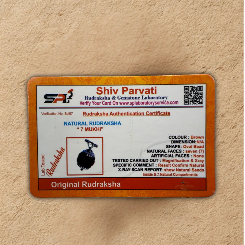 Certification label for Shiv Parvati Rudraksha on a beige background
