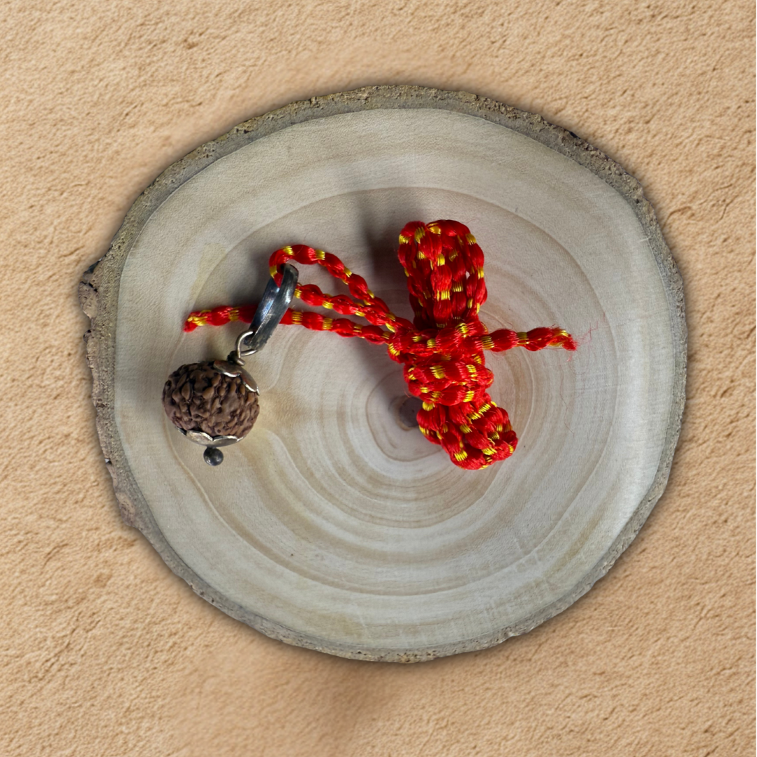 10 mukhi rudraksha