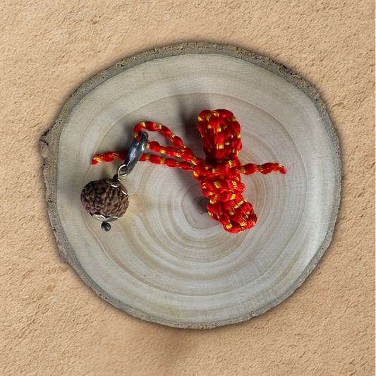 10 mukhi rudraksha