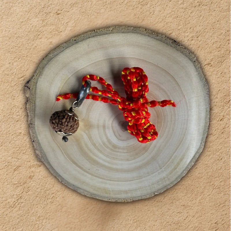10 mukhi rudraksha
