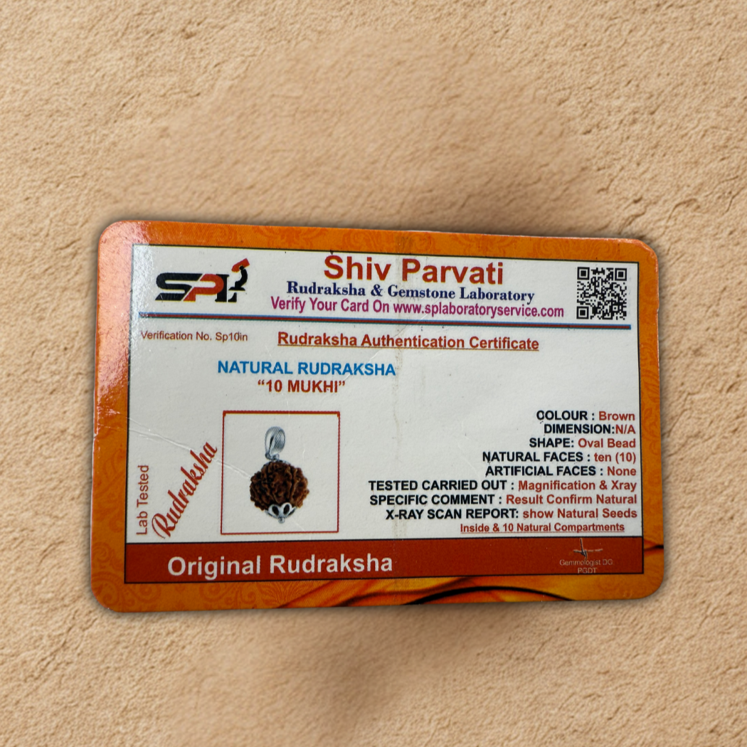 10 mukhi Rudrasksha Beads Certificate