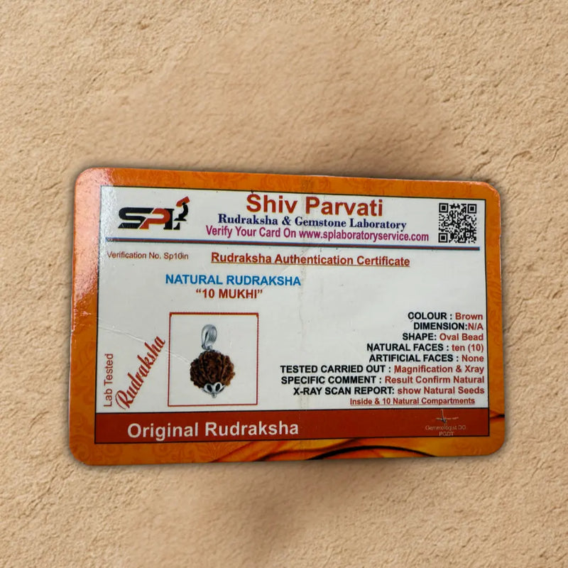 10 mukhi Rudrasksha Beads Certificate
