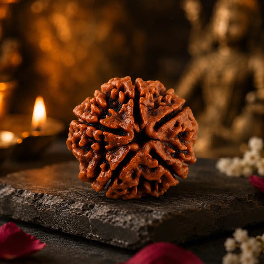 Panch Mukhi Rudraksha - Original with Certificate - (Nepali/Indian), Blessed in Kashi