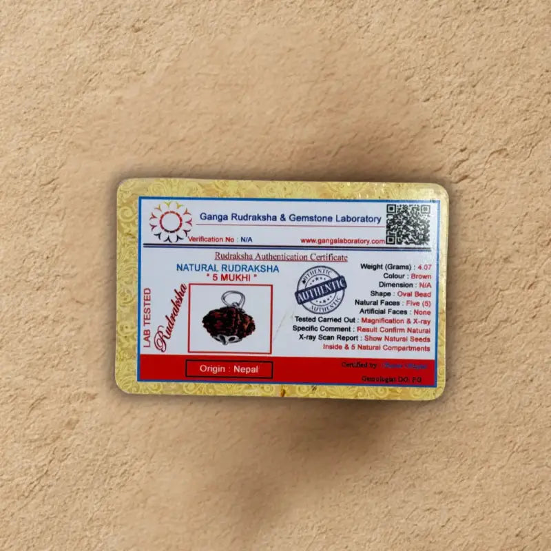 Panch Mukhi Rudraksha - Original with Certificate - (Nepali/Indian) Dharmik