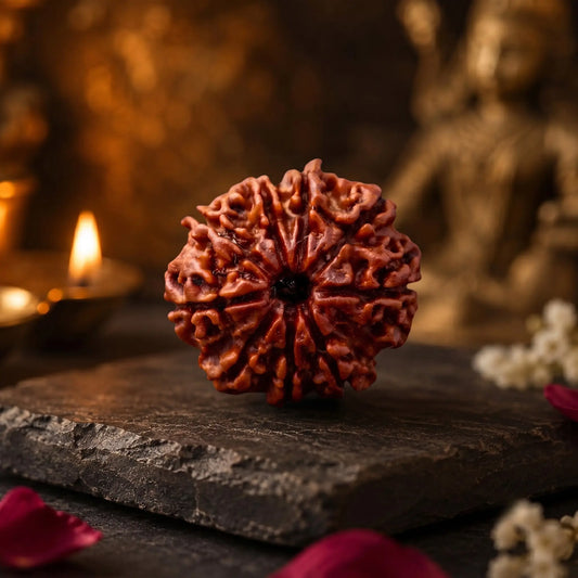 9 Mukhi Rudraksha for Strength, Courage & Protection – Certified Original and Blessed in Kashi