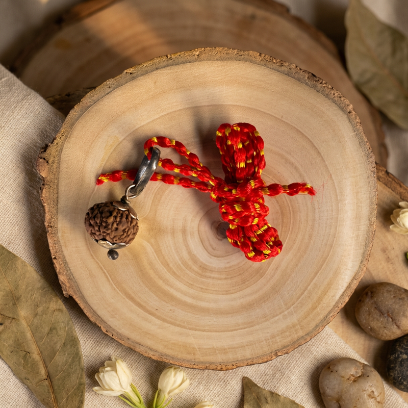 Original 10 Mukhi Rudraksha  – Certified Natural Beads, Blessed in Kashi Dharmik
